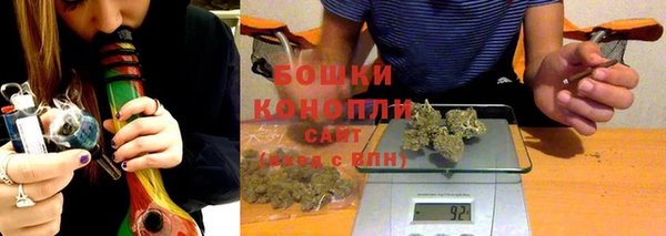 дмт Рославль